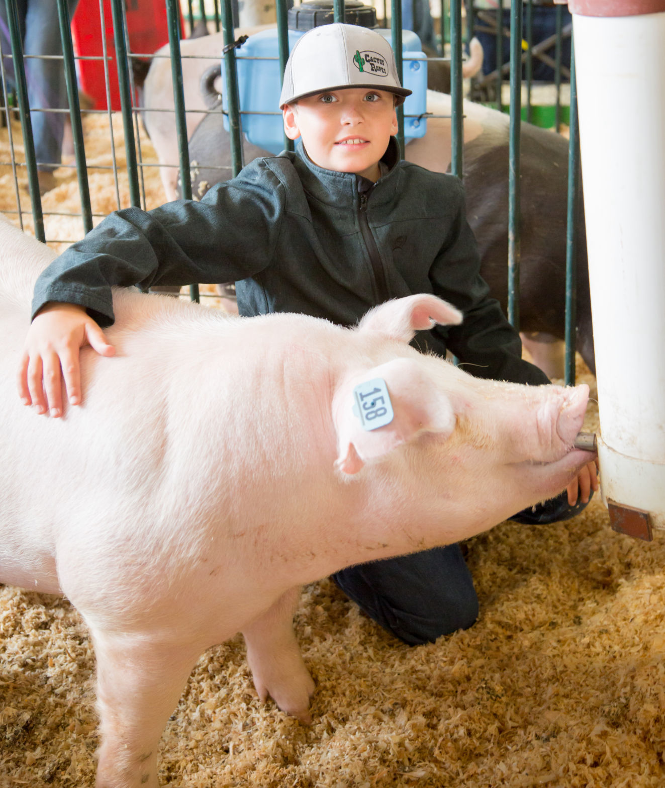 070919 SB Fair Animal Judging 08.jpg